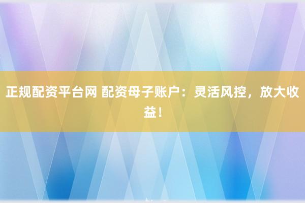 正规配资平台网 配资母子账户:灵活风控,放大收益!