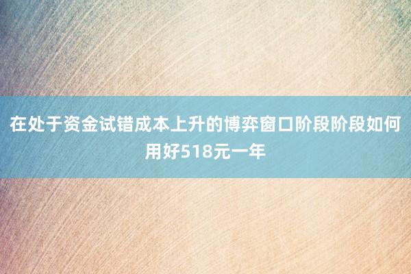 在处于资金试错成本上升的博弈窗口阶段阶段如何用好518元一年