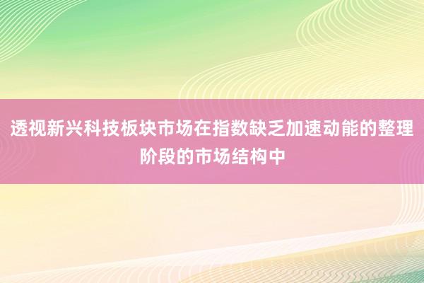 透视新兴科技板块市场在指数缺乏加速动能的整理阶段的市场结构中