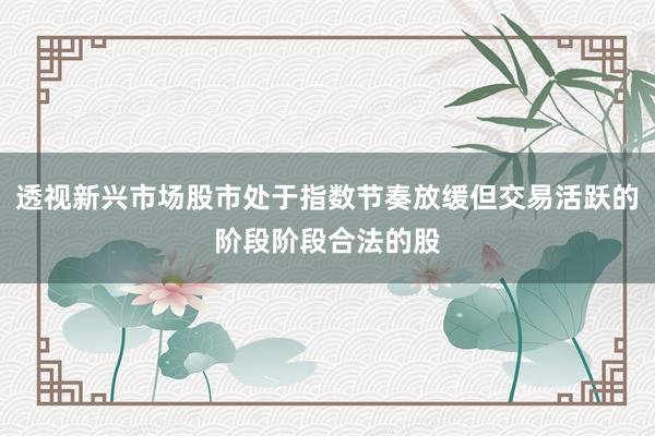 透视新兴市场股市处于指数节奏放缓但交易活跃的阶段阶段合法的股