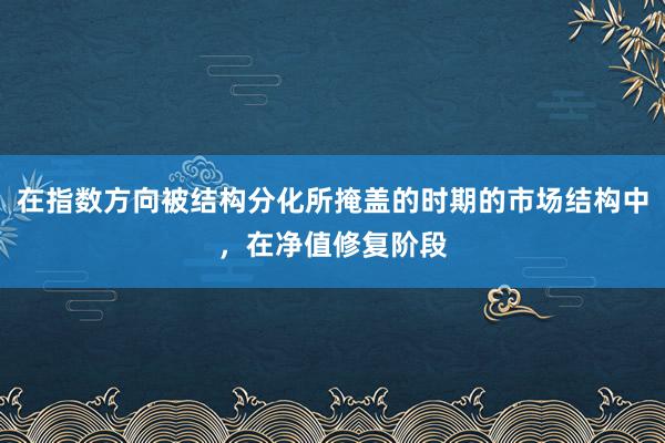 在指数方向被结构分化所掩盖的时期的市场结构中，在净值修复阶段