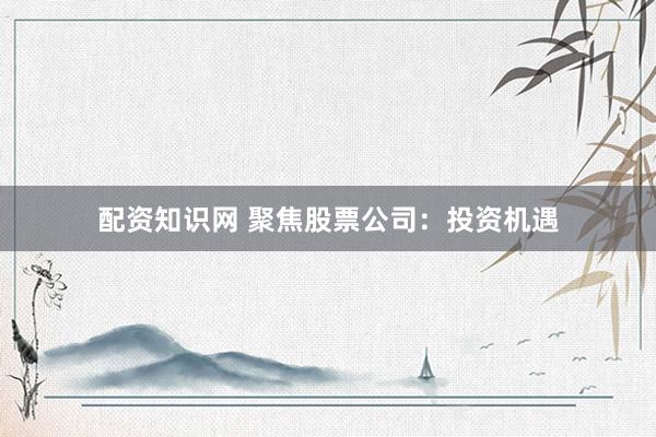 配资知识网 聚焦股票公司：投资机遇