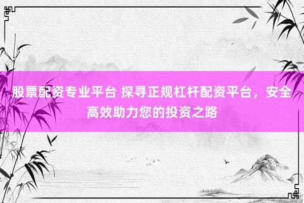 股票配资专业平台 探寻正规杠杆配资平台，安全高效助力您的投资之路
