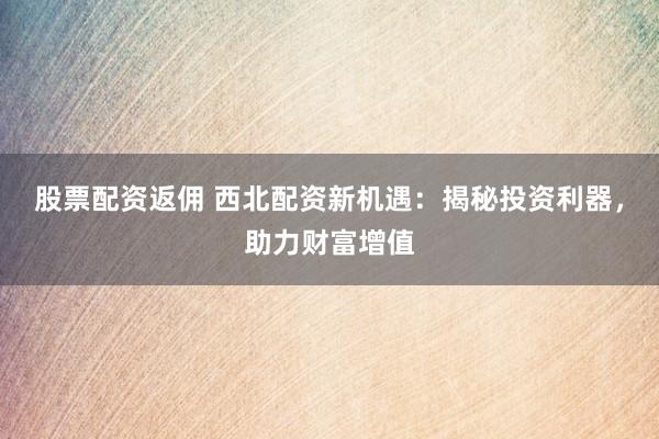 股票配资返佣 西北配资新机遇：揭秘投资利器，助力财富增值