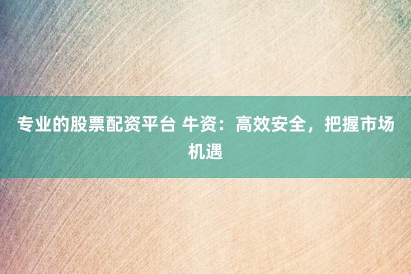 专业的股票配资平台 牛资：高效安全，把握市场机遇