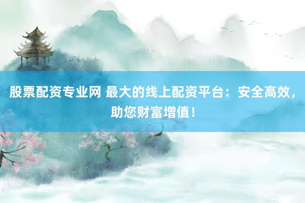 股票配资专业网 最大的线上配资平台：安全高效，助您财富增值！